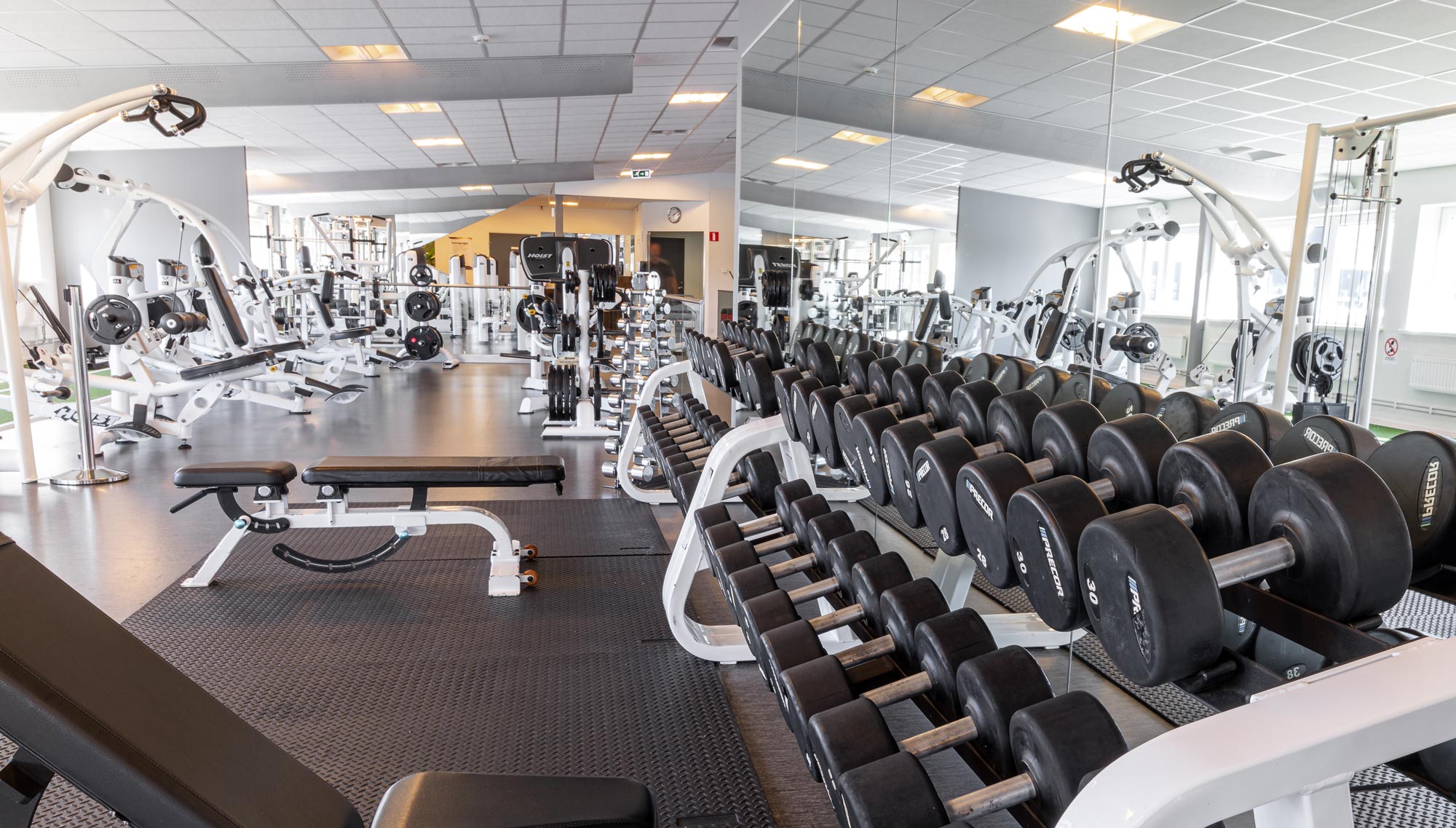 Fria vikter på gymmet