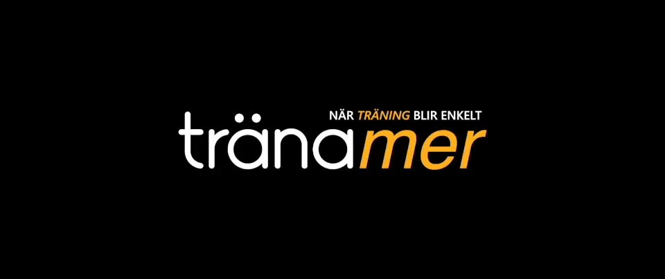 Poster för videon